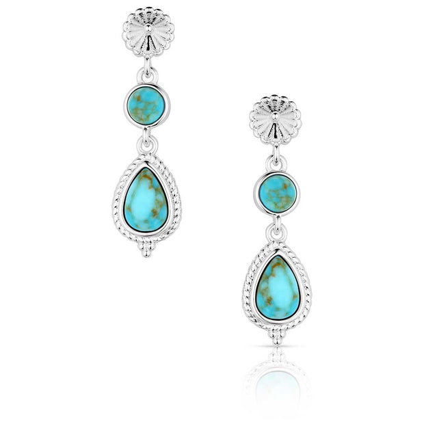 Pair of silver earrings with turquoise stones on a white background