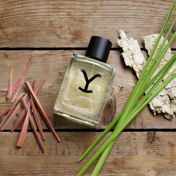 Perfume bottle with a 'Y' logo on a wooden surface with natural elements